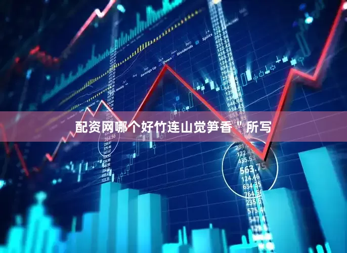 配资网哪个好竹连山觉笋香＂所写
